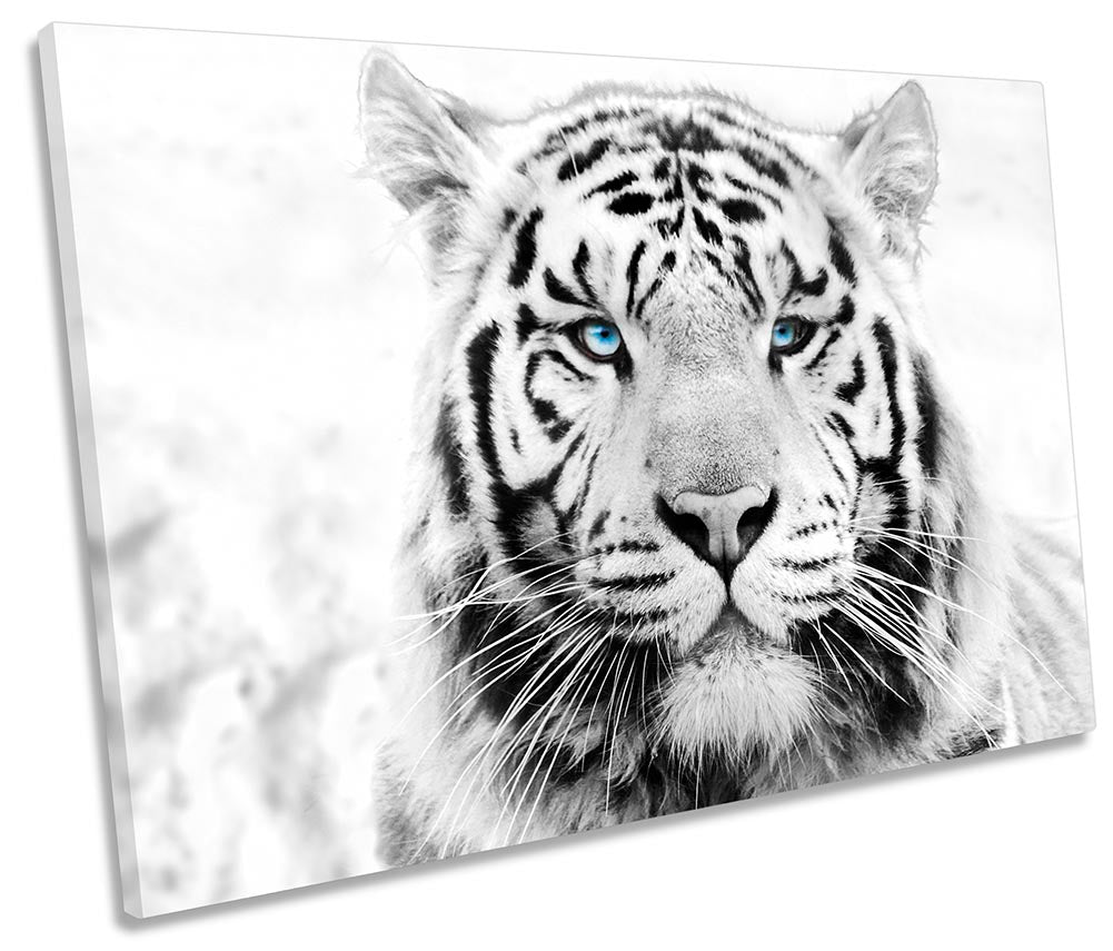 White Tiger Face