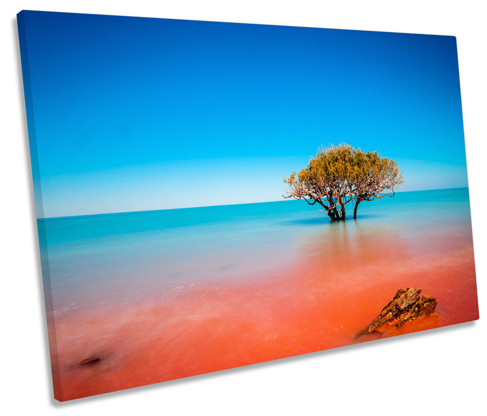 Seascape Tree Australia