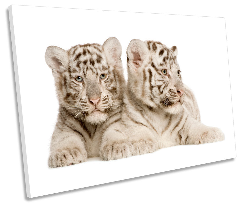 Tiger Cubs Cute