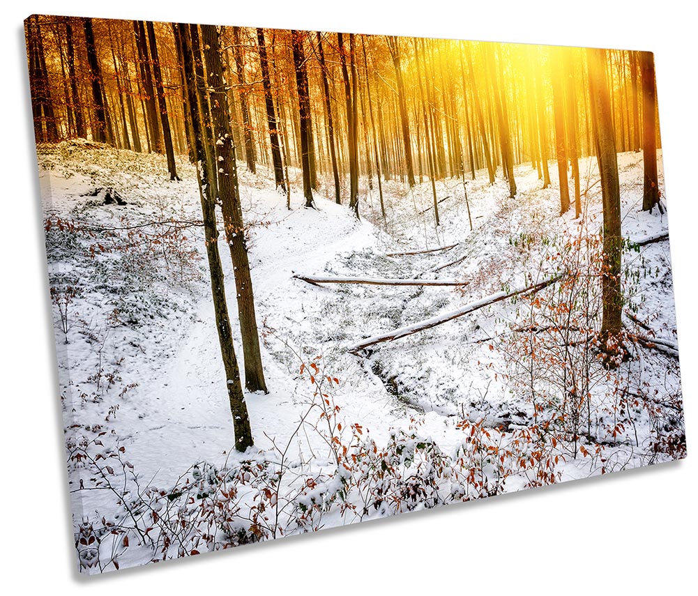 Winter Forest Sunset Orange