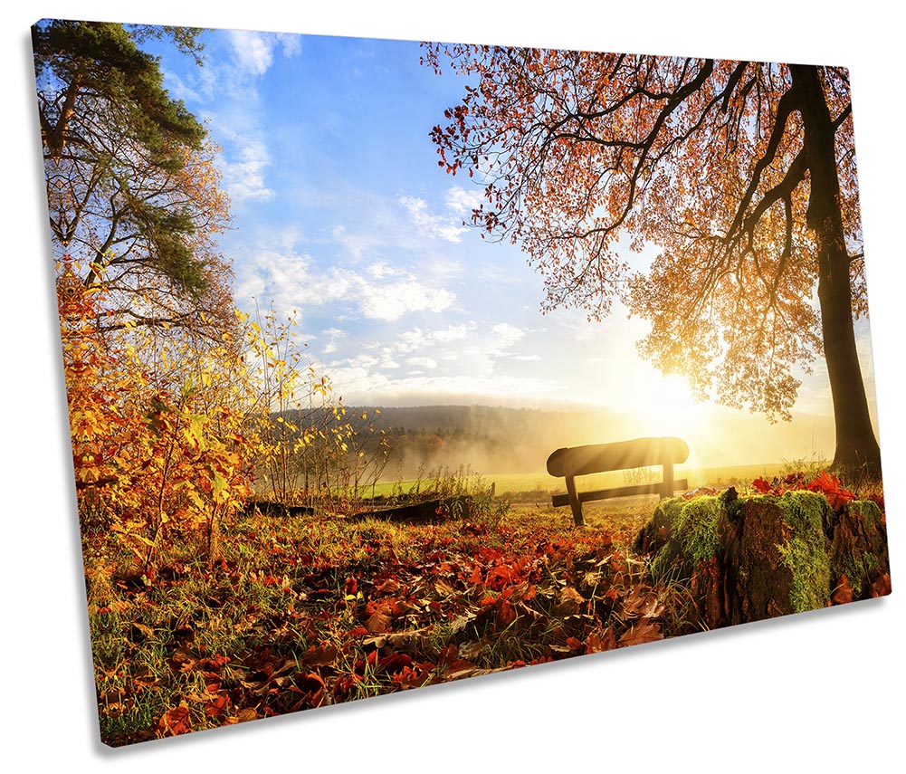 Autumn Sunset Park Bench Multi-Coloured