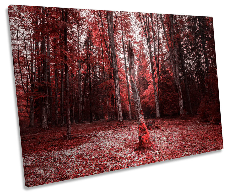 Red Forest Trees Landscape