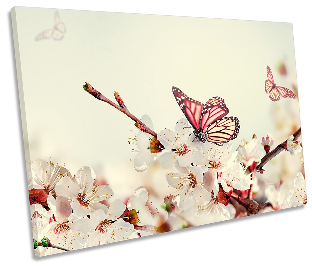 Butterfly Cream Floral Flowers