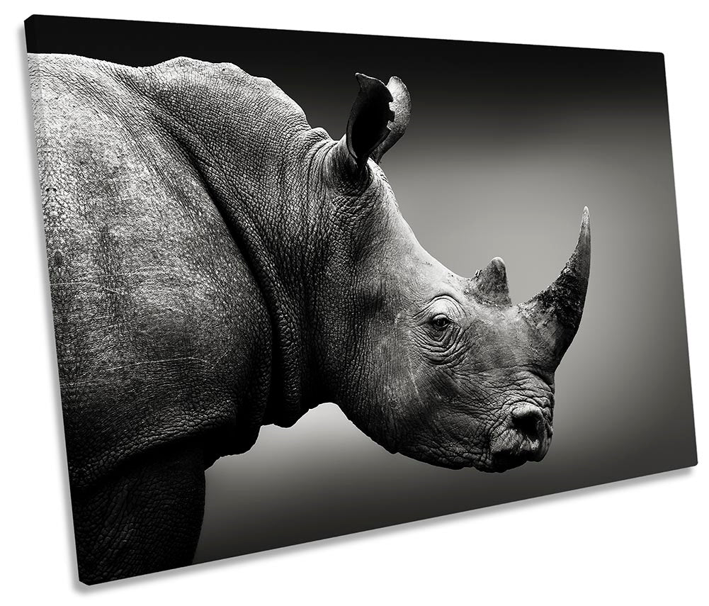 Rhino Wildlife Black & White