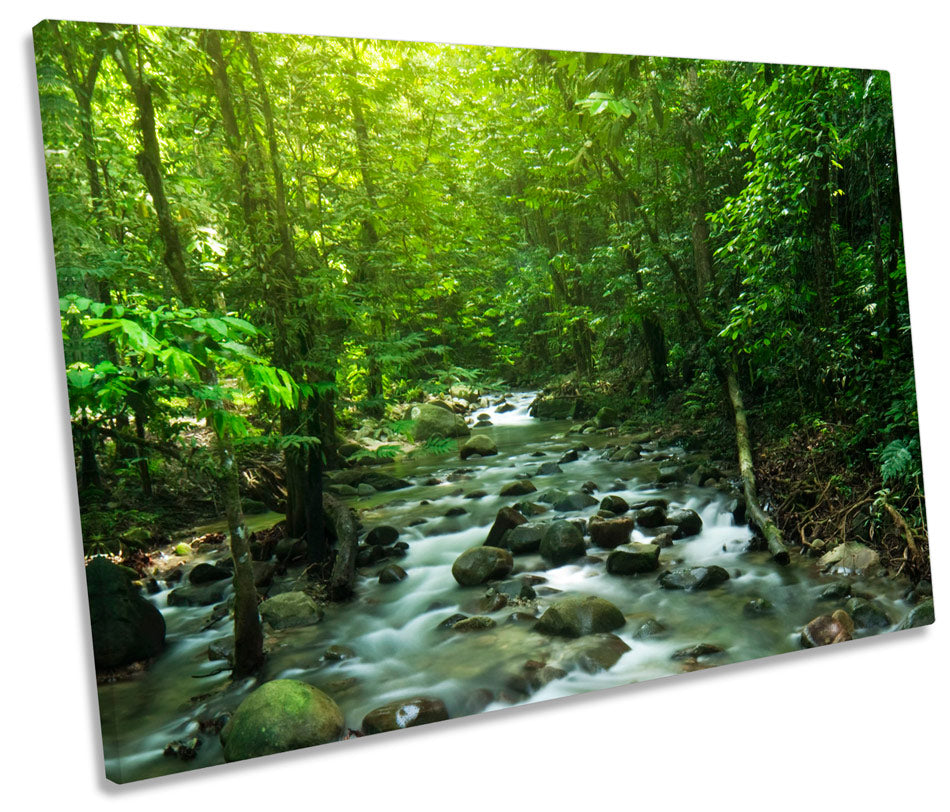 Tropical Mountain Stream Landscape