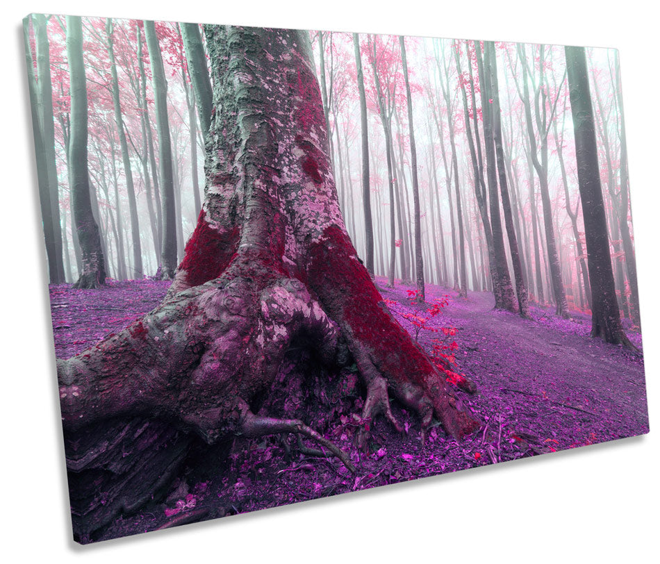 Purple Forest Trees