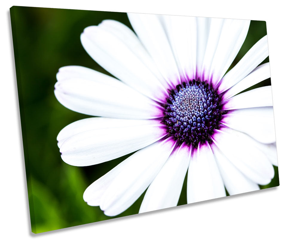 Floral Gerbera Flower