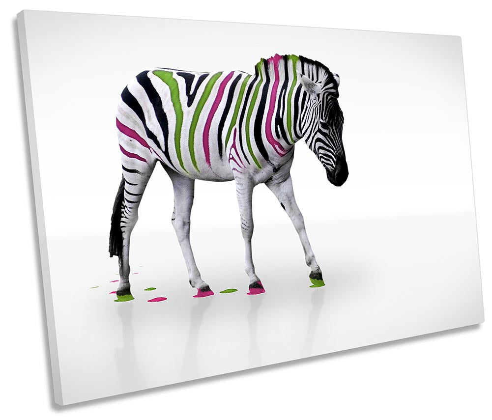 Zebra Multi Coloured Stripes