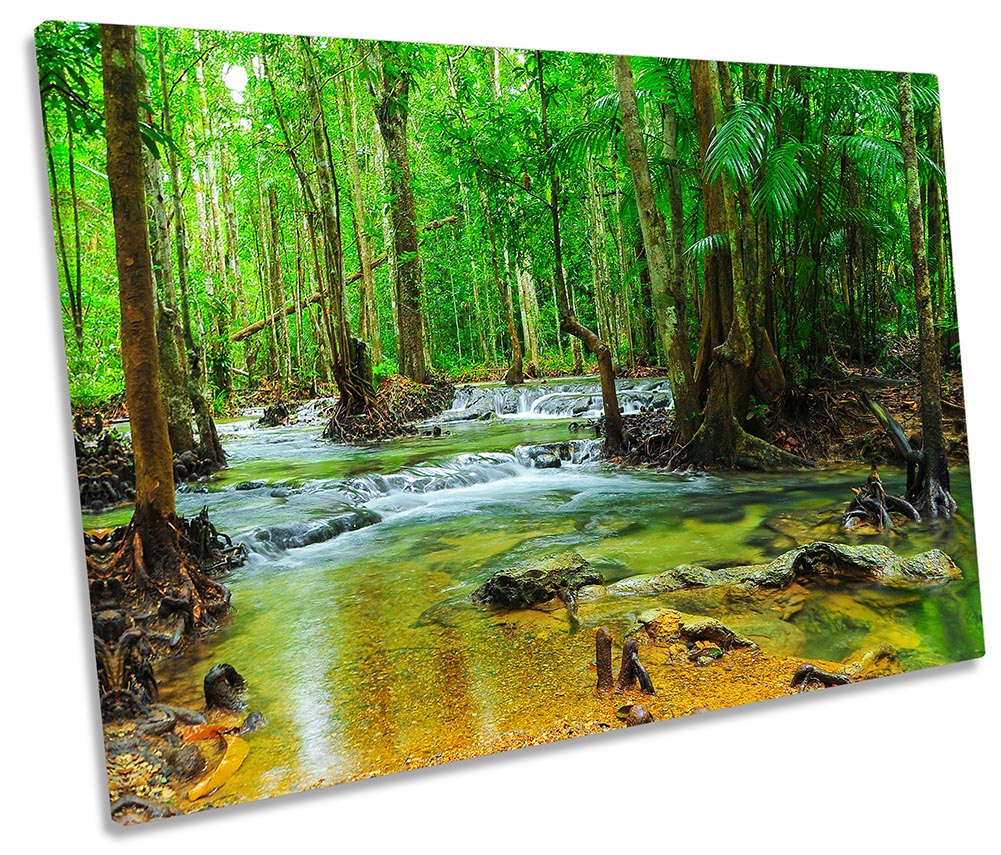 Tropical Forest River Green