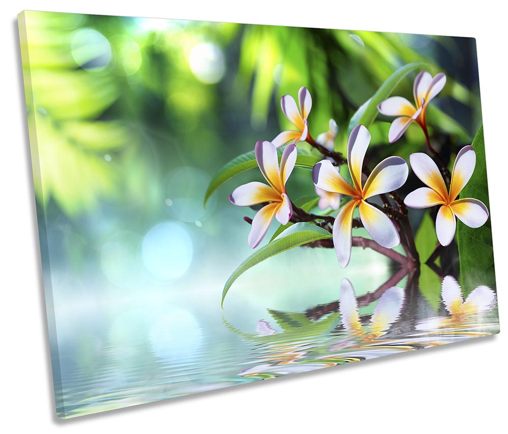 Floral Flowers Reflection Green