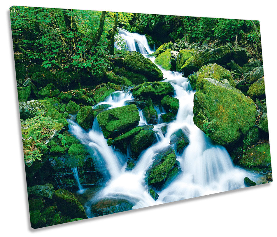 Natural Forest River Waterfall