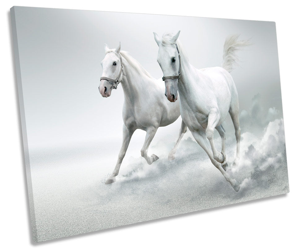 White Horses Stallion