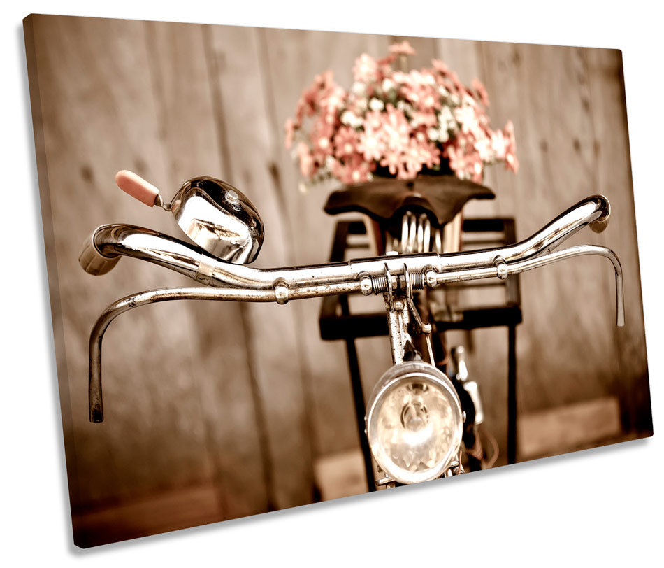 Vintage Bicycle Floral