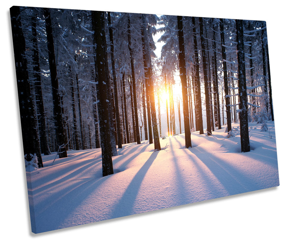 Sunset Snow Forest Landscape