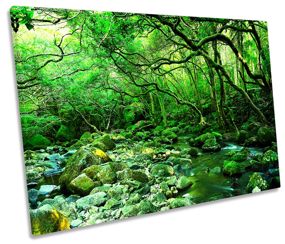 Rocky River Forest Landscape Green