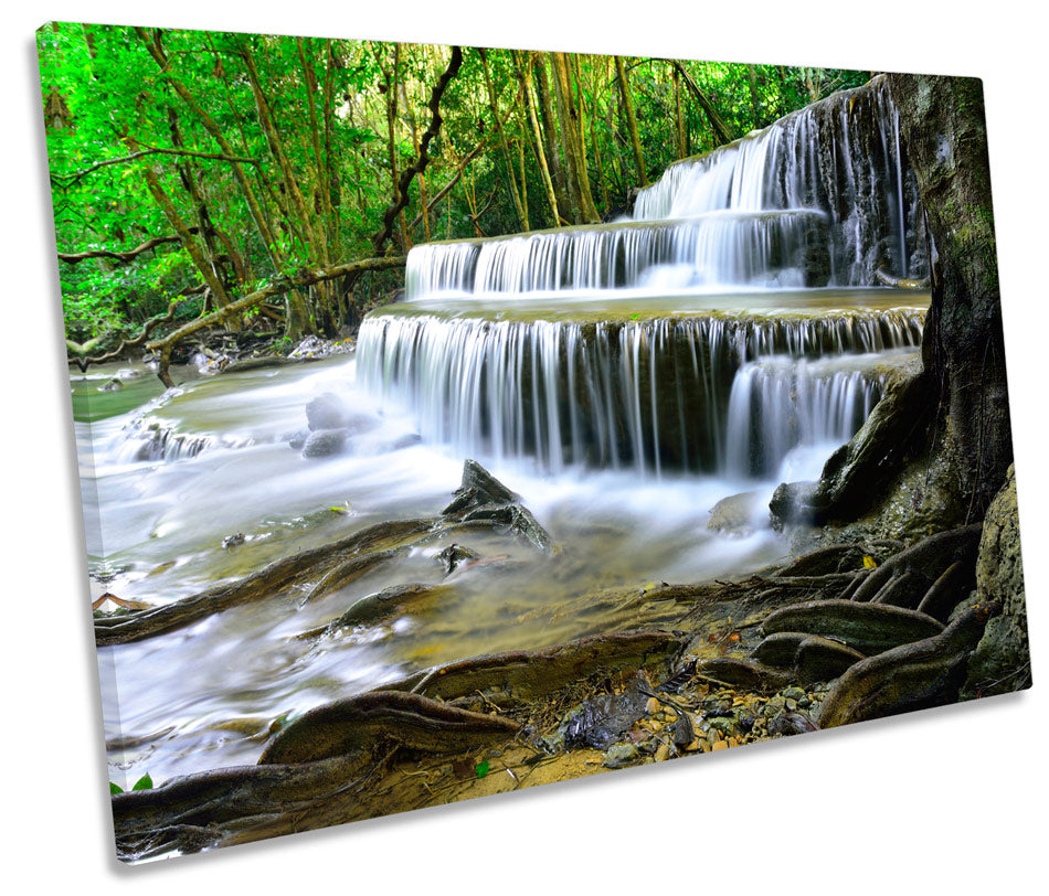 Forest Waterfall Cascading