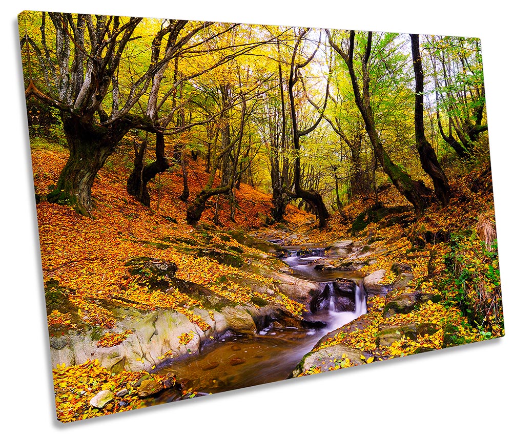 Autumn Forest Woodland Multi-Coloured