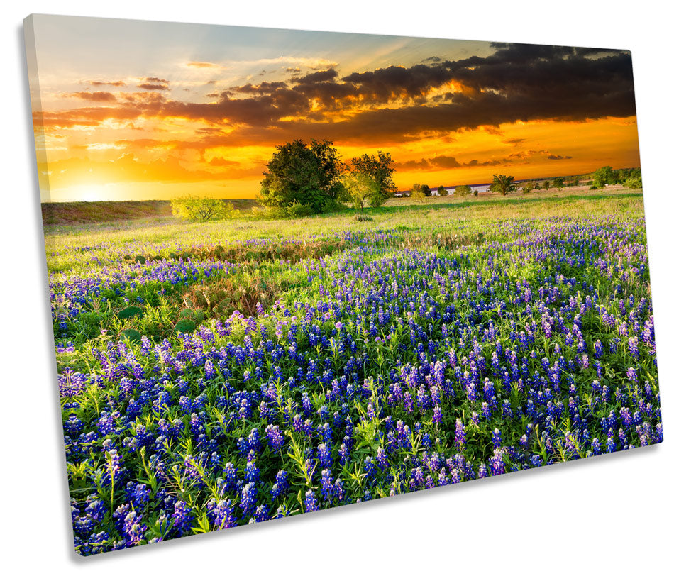 Landscape Floral Flower Sunset