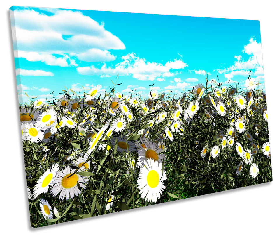 Floral Daisy Field Meadow