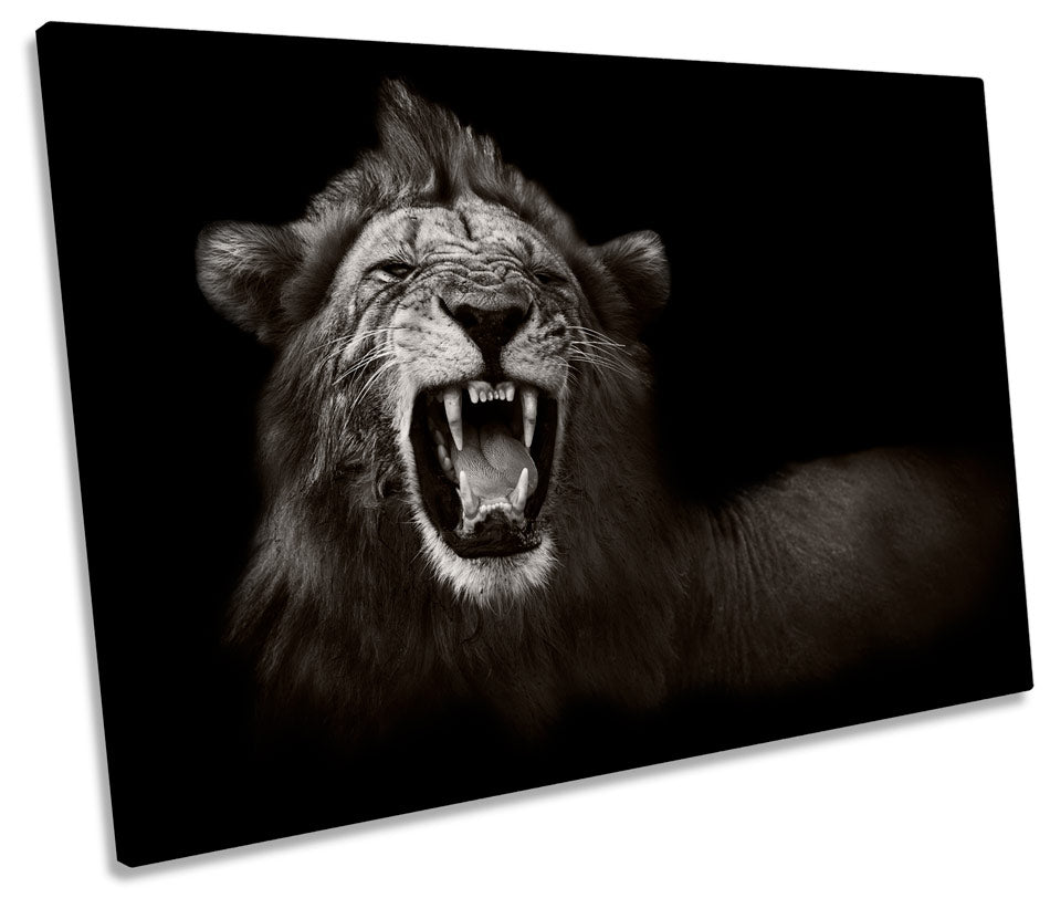 Lion Roar Mono B&W