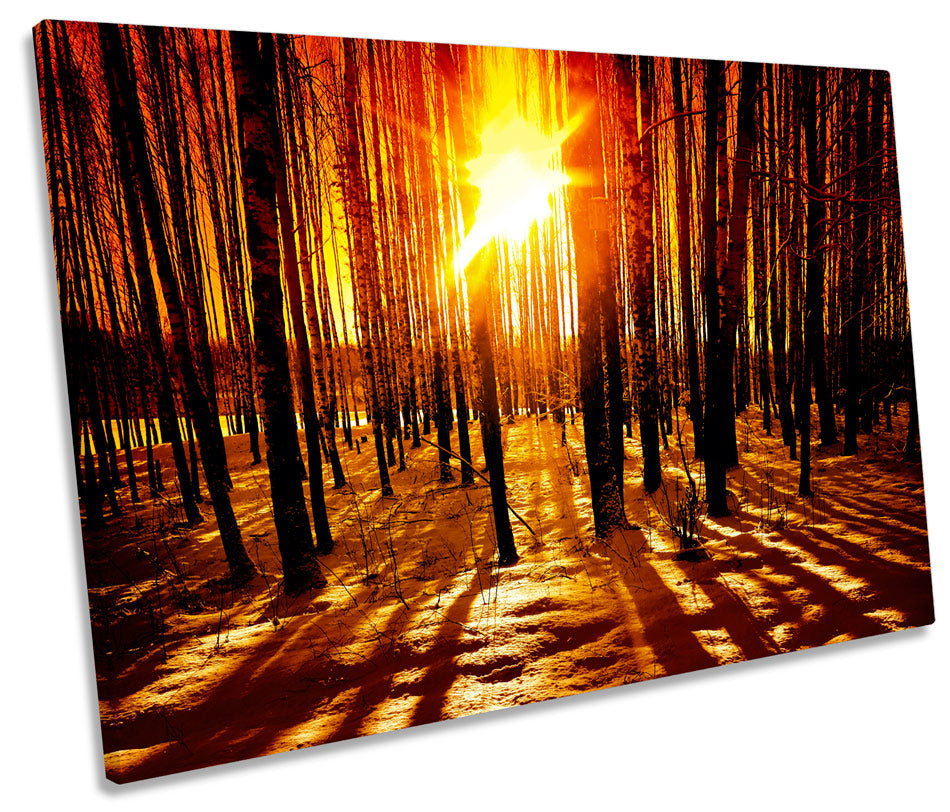 Winter Forest Sunset Landscape