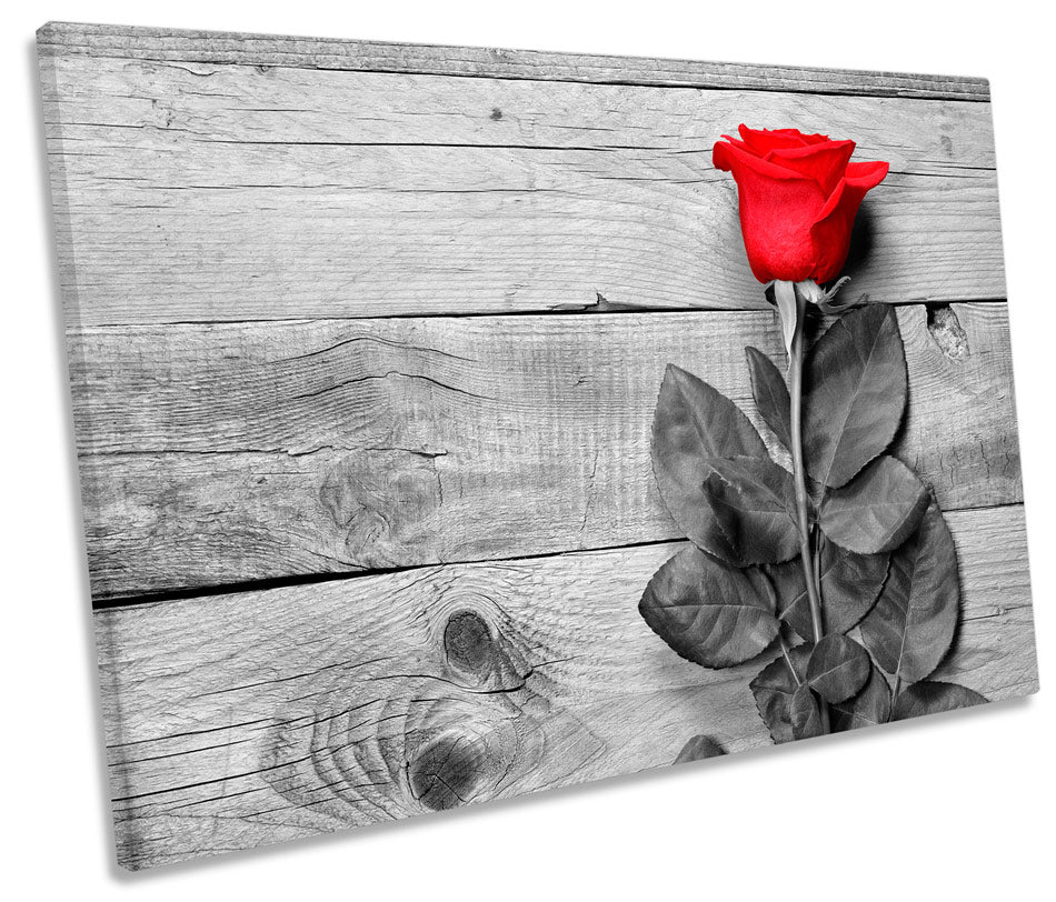 Red Rose Floorboards Flower