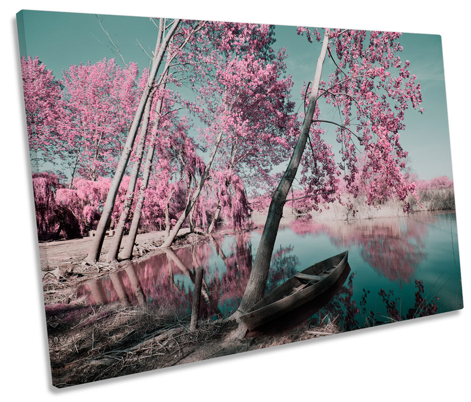 Tree Pink Sunset Seascape Blossom