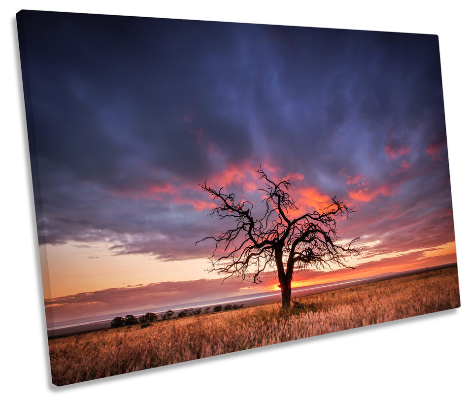 Sunset Landscape Tree