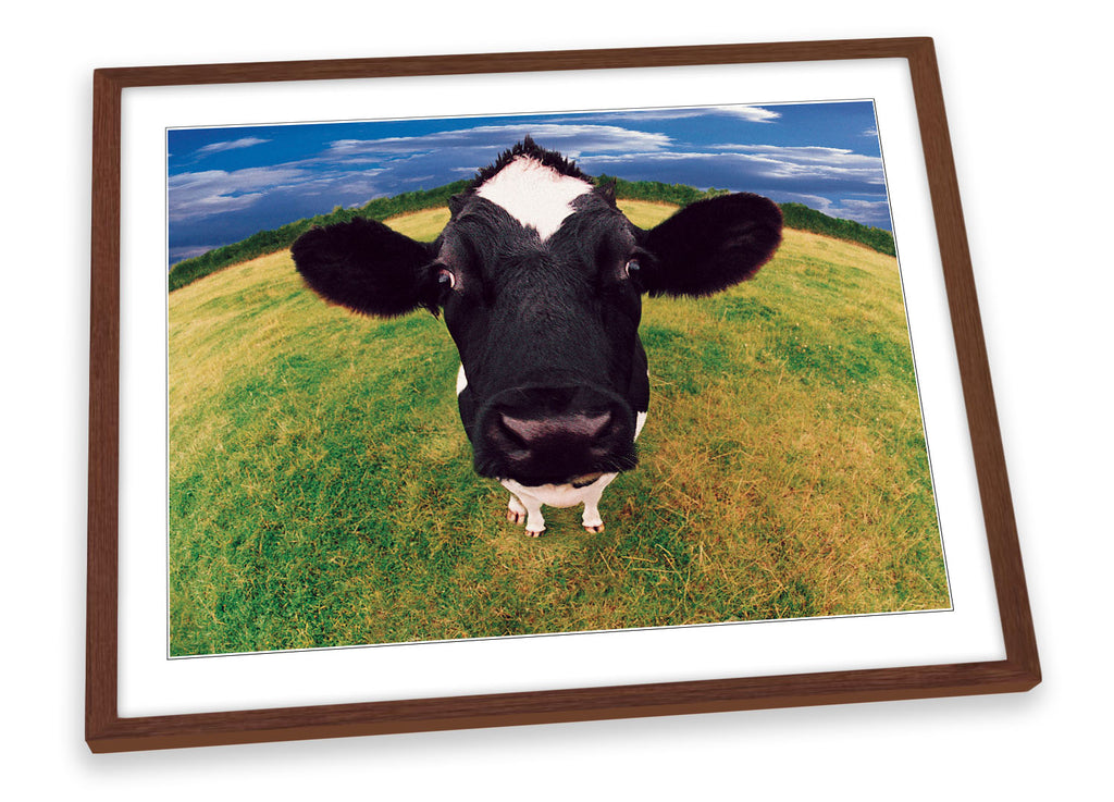 Cow Face Farm Funky Framed