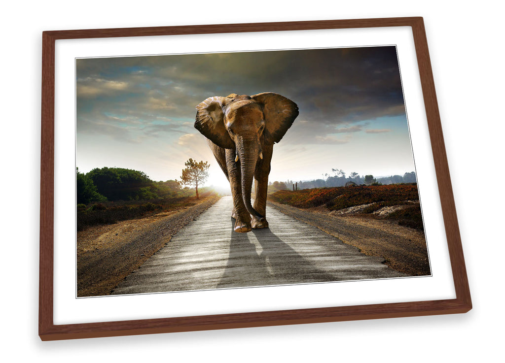 Elephant Road Grey Framed