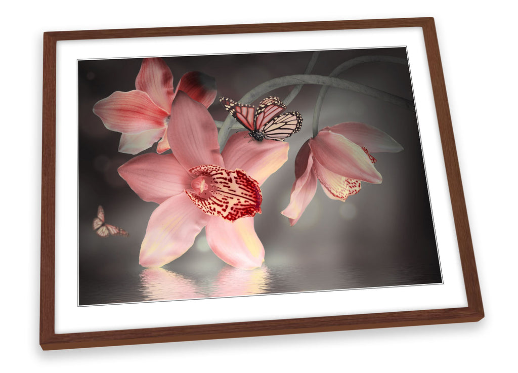 Orchids Floral Flower Butterfly Framed