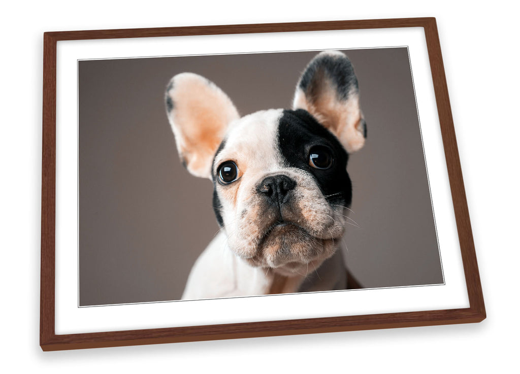 French Bulldog Cute Framed