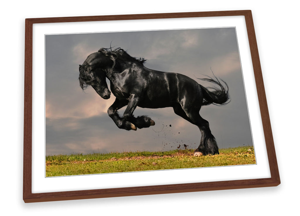 Black Stallion Horse Framed