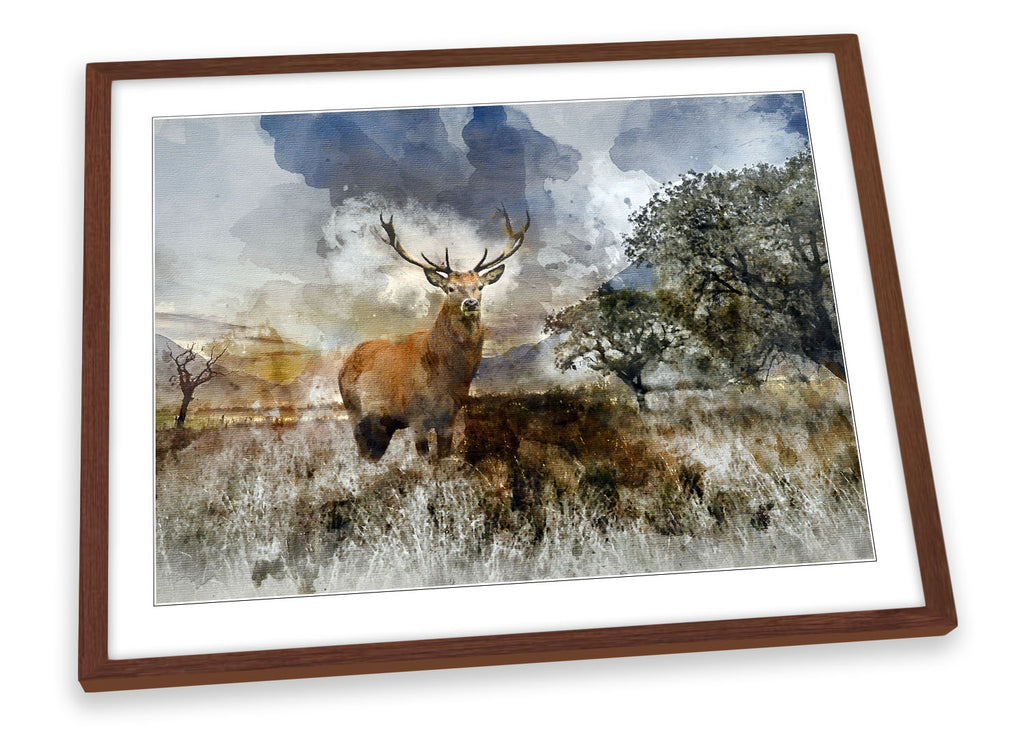 Stag Deer Landscape Highlands Framed