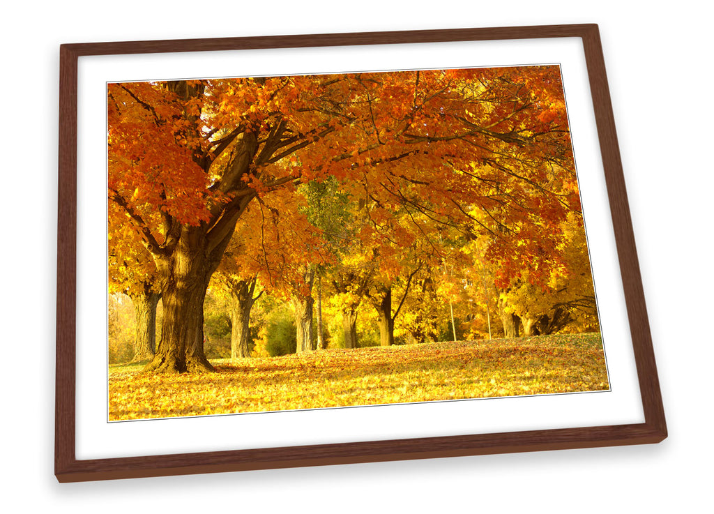 Autumn Floral Tree Framed