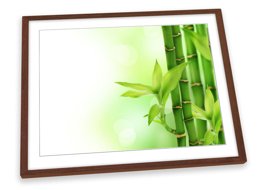 Bamboo Floral Green Framed