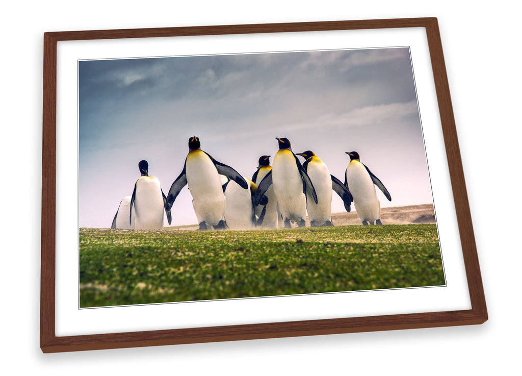 Happy Penguins Framed