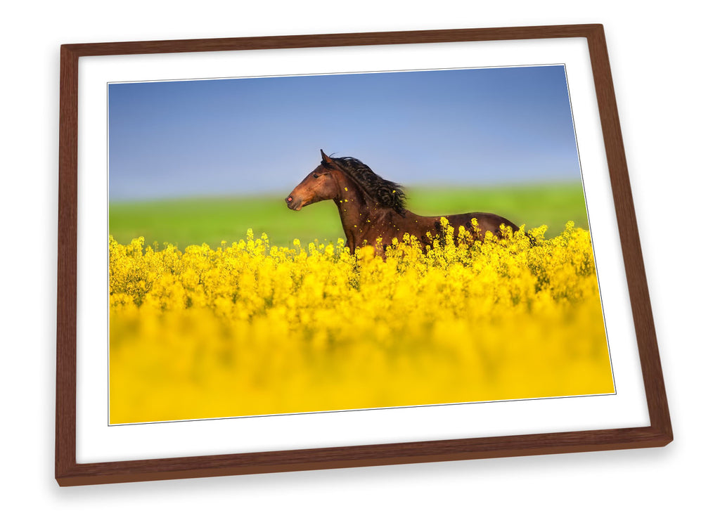 Horse Field Floral Yellow Framed