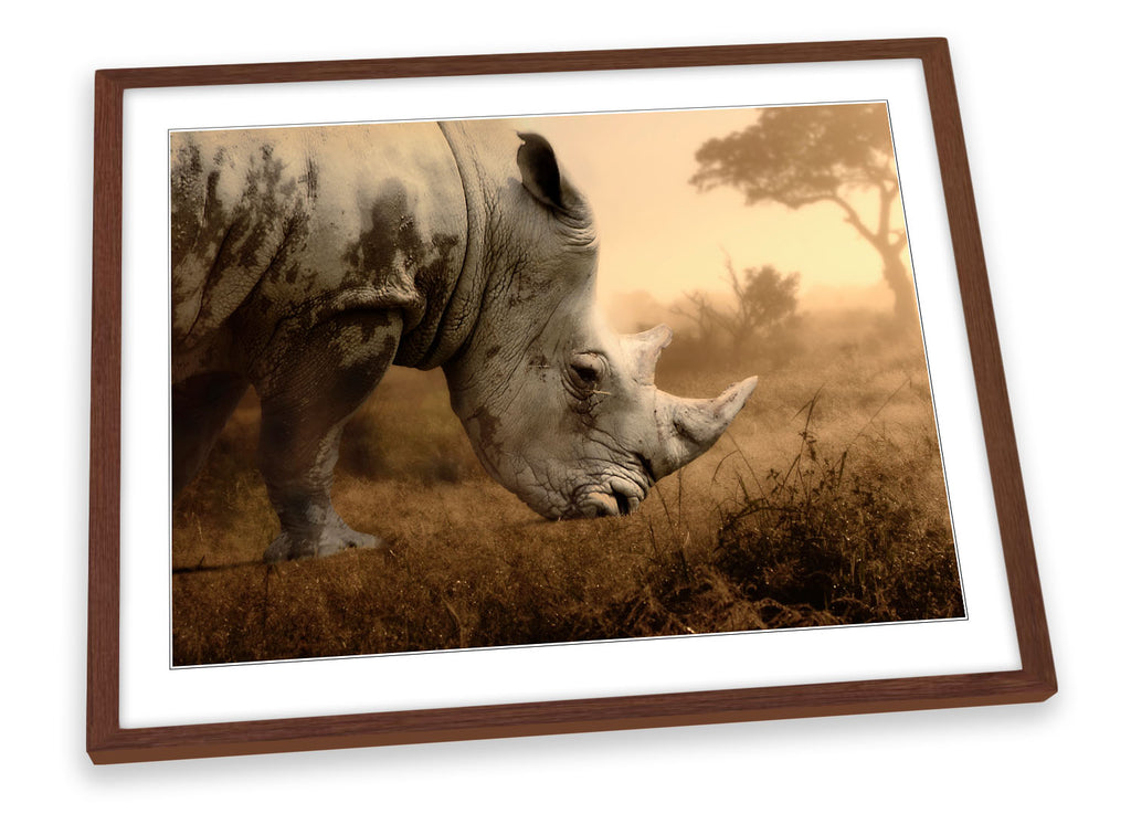 Rhino Sunset Framed