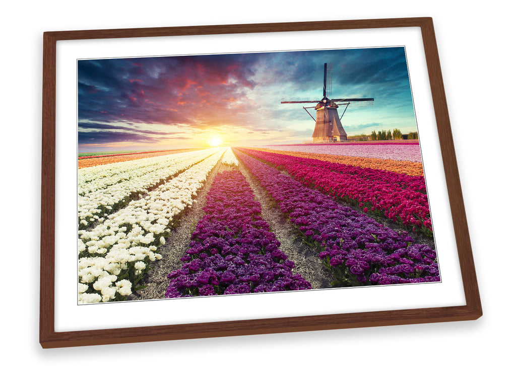 Windmill Sunset Floral Field Framed