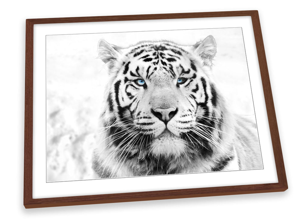 White Tiger Face Framed