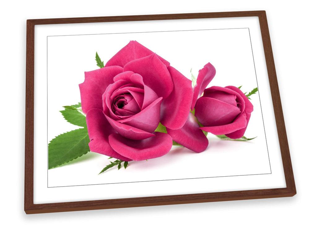 Rose Flower Pink Framed