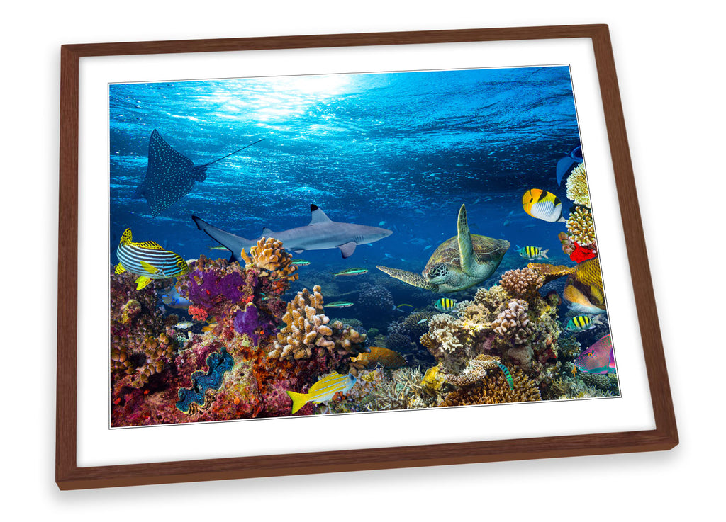 Underwater Coral Reef Fish Framed