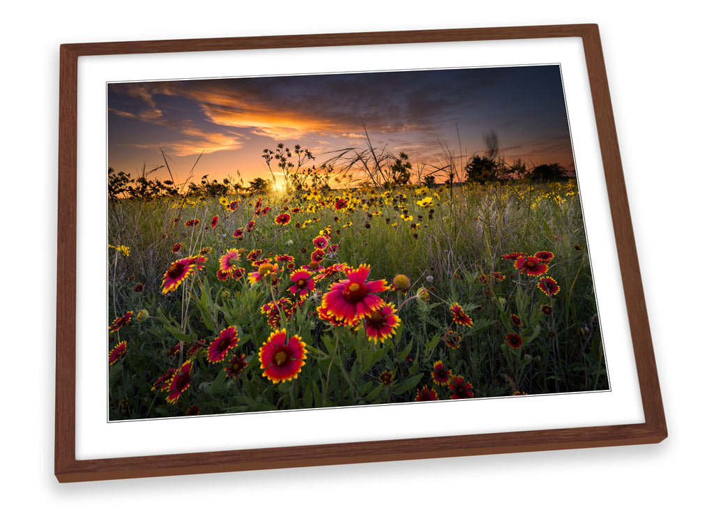 Sunset Wild Floral Flowers Framed