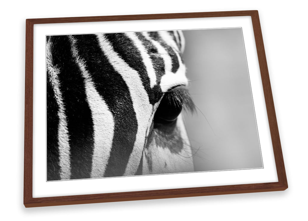 Zebra Black White Stripes Wildlife Framed