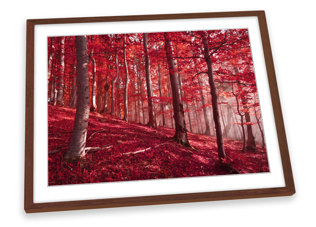Red Forest Landscape Framed