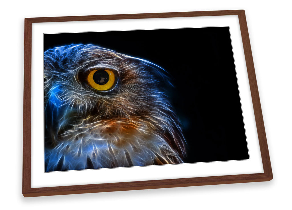 Owl Abstract Framed