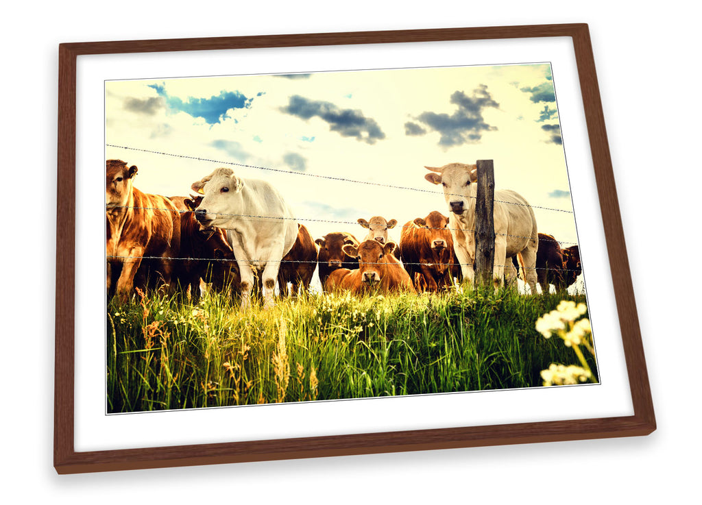 Cow Field Farm Multi-Coloured Framed