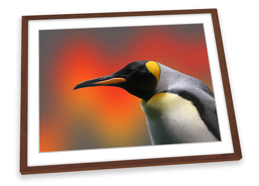 Penguin Wildlife Framed