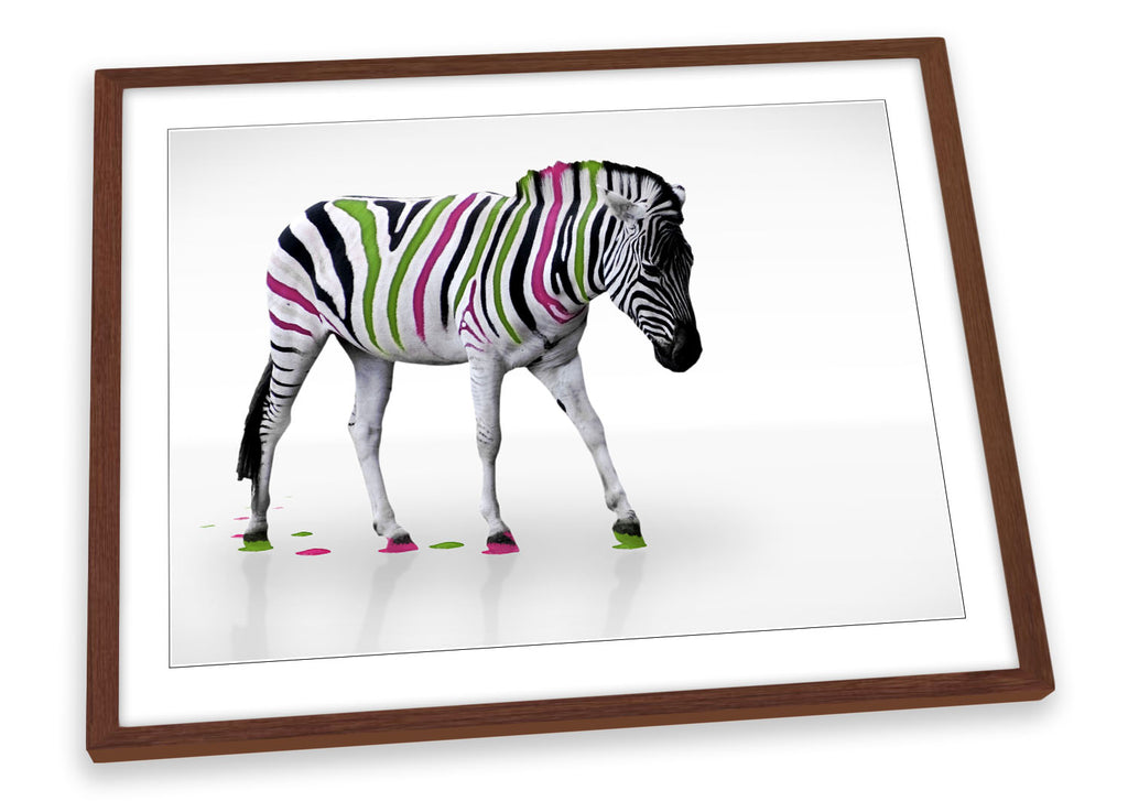 Zebra Multi Coloured Stripes Framed